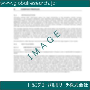 グローバルリサーチ調査資料のイメージ